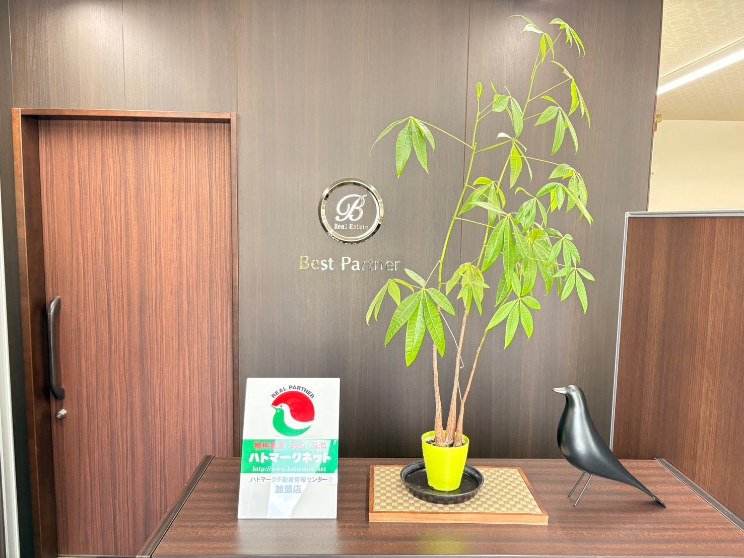 店舗の様子