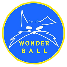 株式会社WONDER BALL